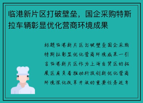 临港新片区打破壁垒，国企采购特斯拉车辆彰显优化营商环境成果